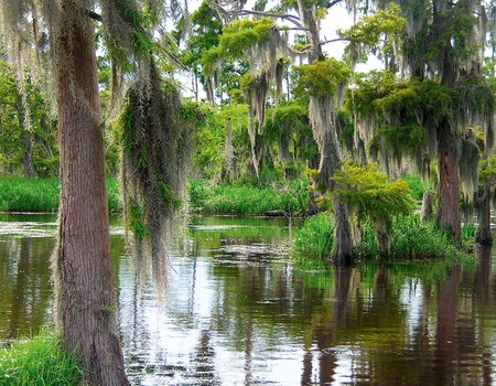 Circuit Bayous et plantations - 3