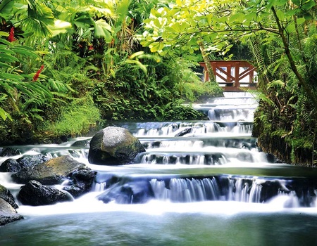 Road Trip Zénitude au Costa Rica - 4