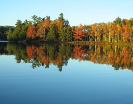 Grand Voyage dans l'Est Canadien: de l'Ontario aux Terres Acadiennes - Montreal, Canada - Image 3