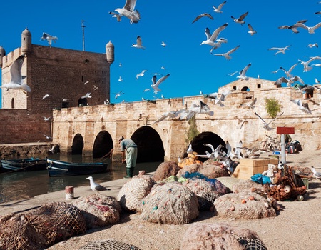 Circuit Marrakech, Essaouira et désert d'Agafay - 3
