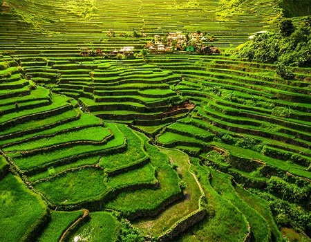 Les Philippines, des rizières de Luzon aux plages de Palawan (petit groupe - 6-12 pers.) - 4