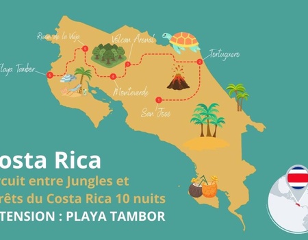 Circuit entre Jungles et Forêts du Costa Rica & Tortuguero (petit groupe) + extension Playa Tambor - 2
