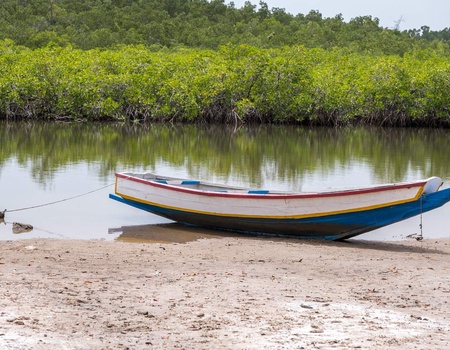 Mon Circuit Privé du Siné Saloum aux Plages de la Petite Côte - Sénégal, Afrique Océan Indien - Image 5