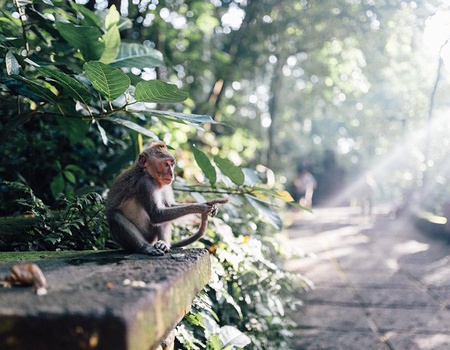 Combiné Ubud, Gili Trawangan & Sud Balinais 4/5* - 2