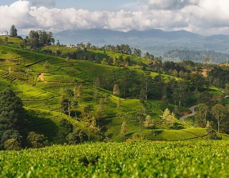 Aventure au Sri Lanka - 4