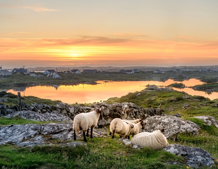 Autotour L'Irlande, le circuit classique - De Dublin A Dublin - 4