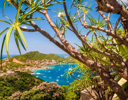Séjour dévouverte au départ de la Residence Simona - Deshaies, Guadeloupe, Antilles - Image 1