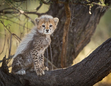 Autotour Un Monde en Un Seul Pays - 13J/10N - 4