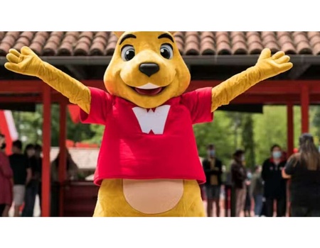 Entrées à Walibi et Loge Famille sur Terre pour un séjour insolite - 1