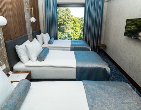 Ring Stone Hotel Bosphorus 4* - 5