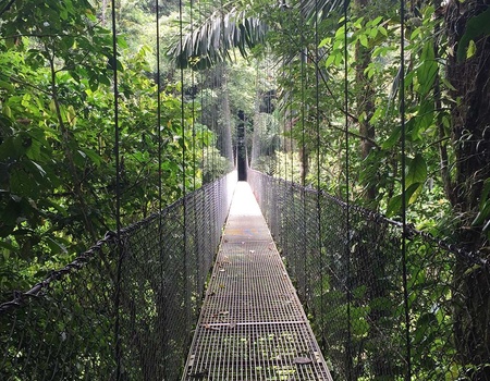 Circuit Découverte du Costa Rica et Plage de Tamarindo - 3