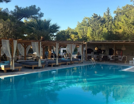 Hôtel Trees Art Boutique 3* -Adult Only - Rhodes (île de), Grèce - Image 2