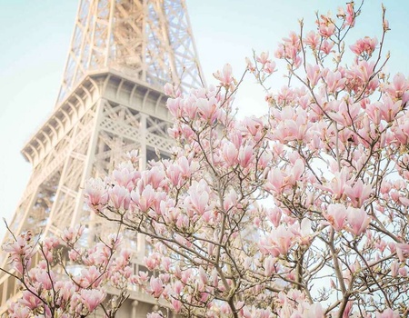 Escapade à Neuilly sur Seine avec croisière sur la Seine - 3* - 4