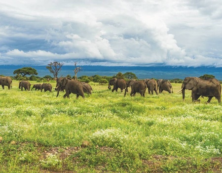Safari Privatif - En Terre Sauvage