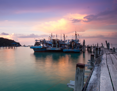 Malaisie en Liberté, Sur les Terres Sauvages de Taman Negara 3* - 2