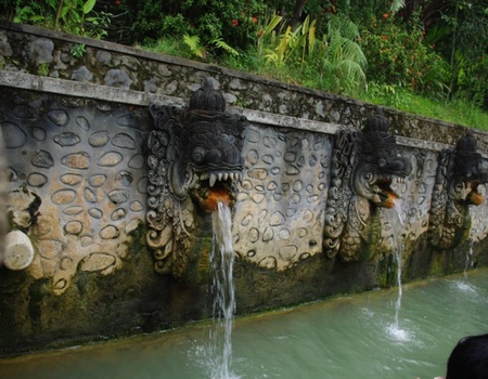 Immersion à Bali - Bali, Indonésie - Image 3