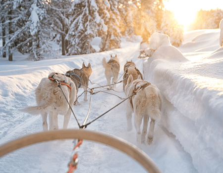 Hôtel Pite Havsbad - Echappée en Laponie Suédoise 5J/4N - 3