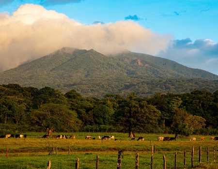 SUR LA ROUTE DU COSTA RICA ET RINCON DE LA VIEJA (Autotour)