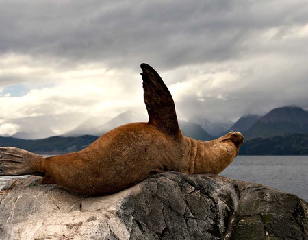 Circuit De l'Argentine au Chili - 3