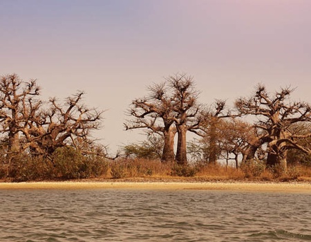 Circuit Beautés du Sénégal au coeur des Chefferies en privatif *** - 2