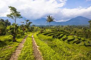 Circuit Bali Intimiste - 2