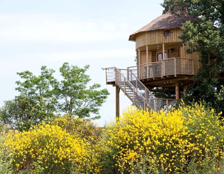 Vivez une expérience romantique 