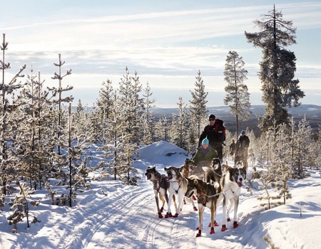Circuit en liberté combiné Buenos Aires- Ushuaia avec une journée en Uruguay - 5