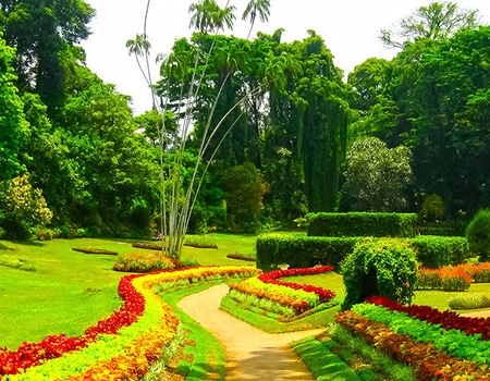 Circuit Les Incontournables du Sri Lanka et Extension Anantaya Resort & Spa 5*nl - 5