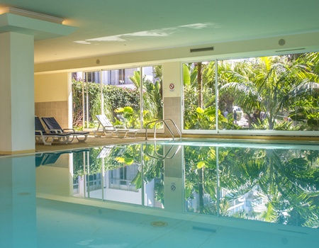 Estrelicia - Flex - Madère - 2