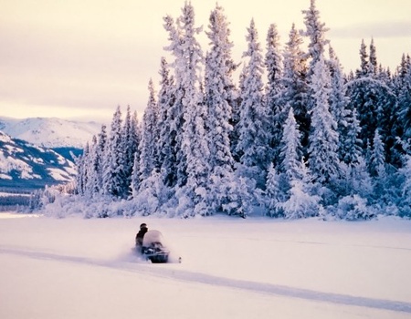 Circuit Immersion au coeur de l'hiver arctique - 5