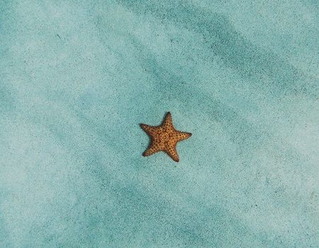 Combiné hôtels L'essence du Costa Rica : parenthèse tropicale durable - 3