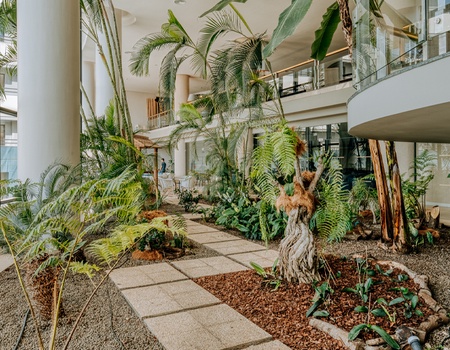 Enotel Lido Resort & Spa - Madère - 3