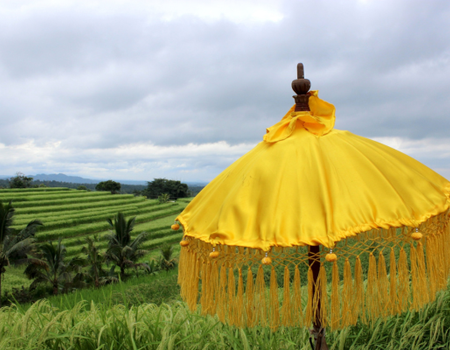 Combiné Jungle, Cascades et Sable de Bali - 5