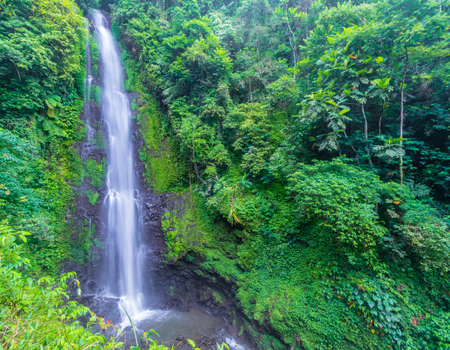 Circuit Féerie Balinaise et Plage Sauvage de l'Ouest en Charme et Privatif 4* - 3