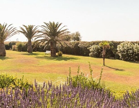 Résidence Les Rivages de Rochelongue -  Maeva Home - Hérault - Agde, Languedoc Roussillon - Image 2