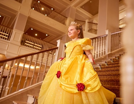 Disneyland® Hotel : Train + Hôtel + Billets - 2