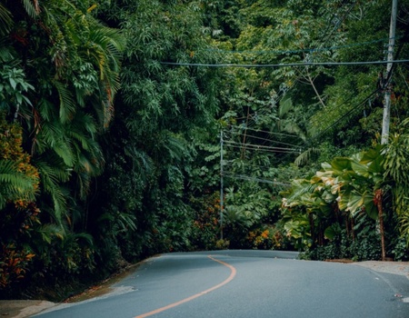 Moto Tour : Explorez le Costa Rica autrement - San Jose, Costa Rica - Image 4