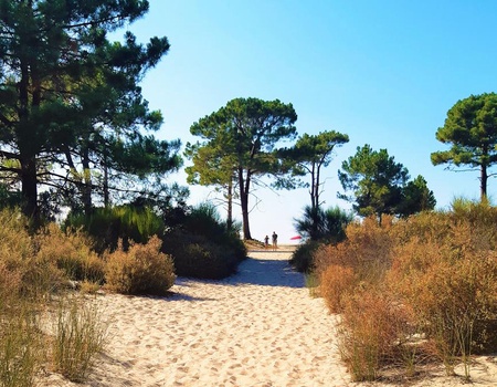 Camping Dolce Vita 3* - 1