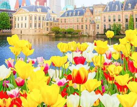 Dîner et séjourner dans le centre de La Haye, y compris des billets d'entrée pour le Keukenhof - 4* - 1