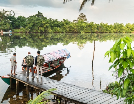 Traversée de la jungle luxuriante