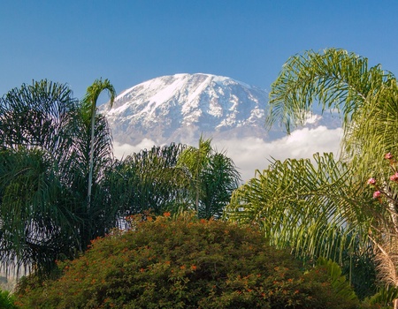 Safari Privatif - En Terre Sauvage - 4