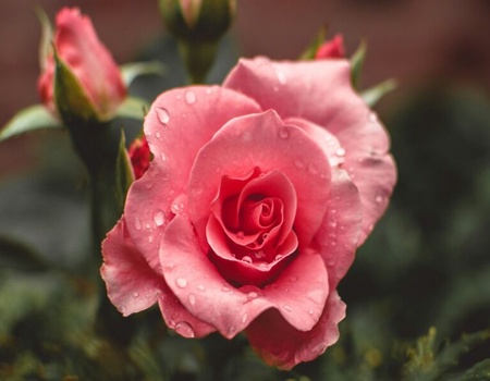 Circuit Rendez-vous en équateur - De Quito A Guayaquil - 2