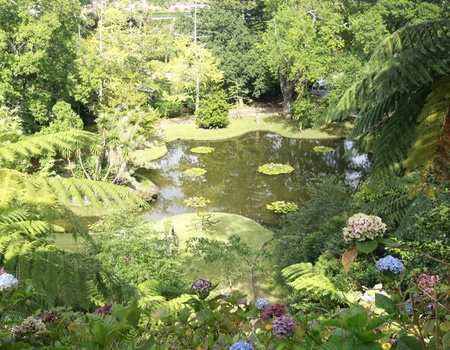 Au Coeur des Açores - Iles des Acores - 2