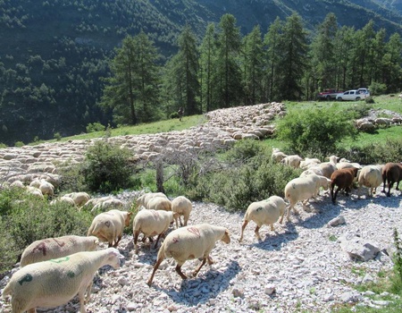 Camping La Ribière, 3* - 2