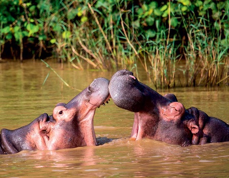 Circuit Voyage au pays arc-en-ciel, le grand tour de l'Afrique du Sud + Extension à Victoria Falls - 3