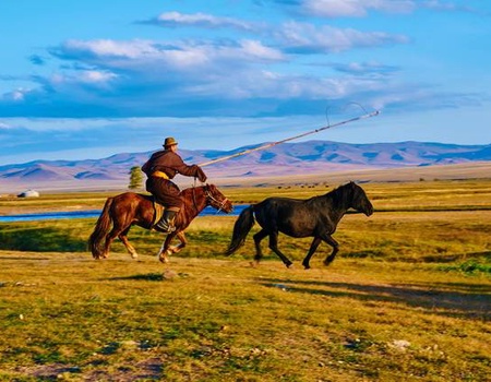 Mongolie, terre nomade