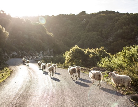Circuit Découverte et détente en Crète - 3