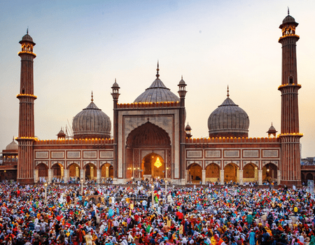 Circuit Forts et Palais du Rajasthan en Privatif 5* - 5