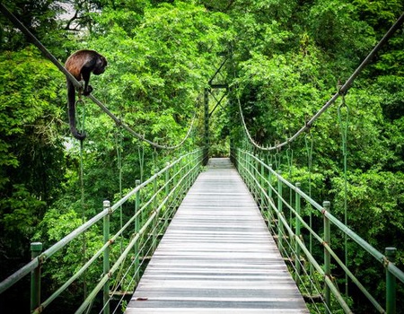 Splendeurs du Costa Rica & extension Playa Tambor 13J/11N - 2026 - 3