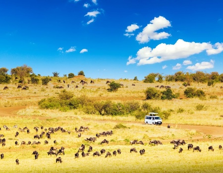 Evasion Kenyane - 10J/8N - 2